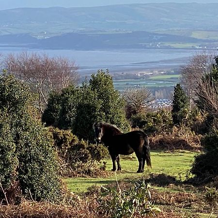 Exmoor Retreat On Two Moors Way Withypool 외부 사진