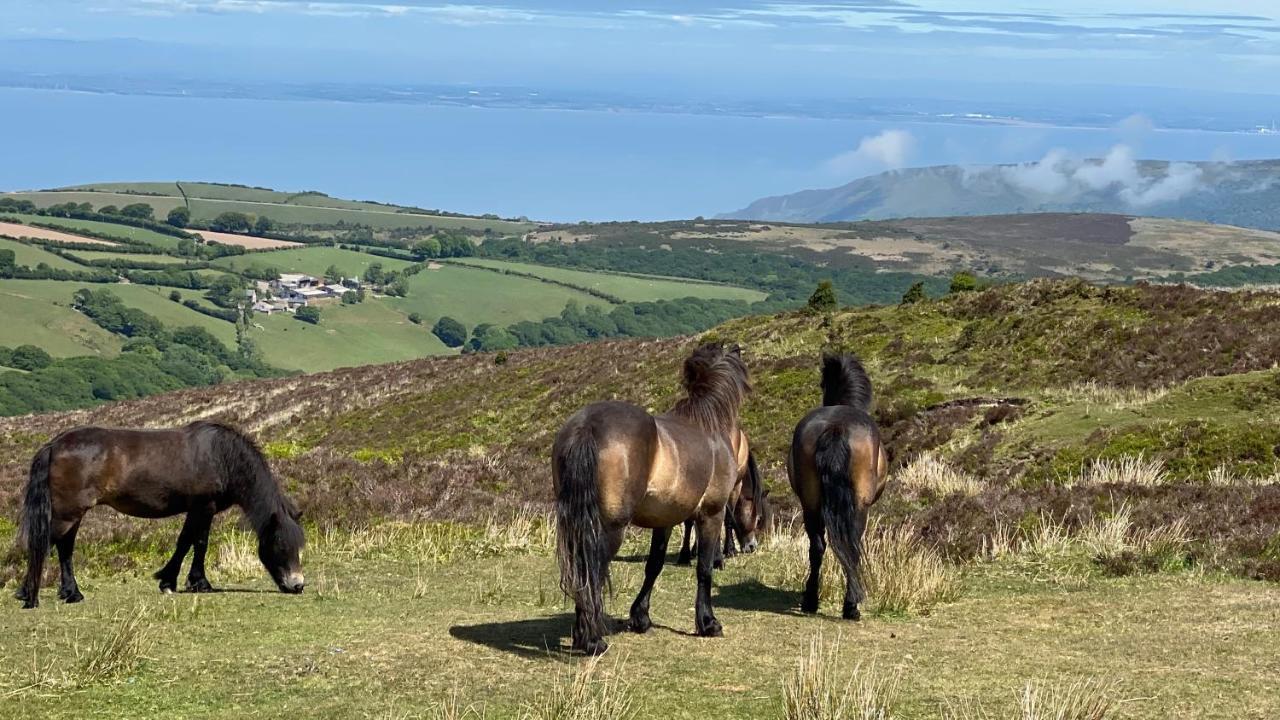 Exmoor Retreat On Two Moors Way Withypool 외부 사진