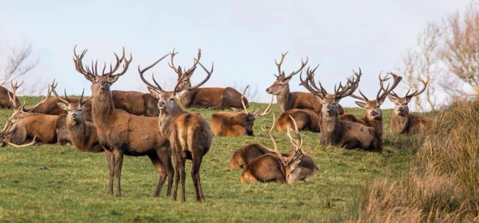 Exmoor Retreat On Two Moors Way Withypool 외부 사진