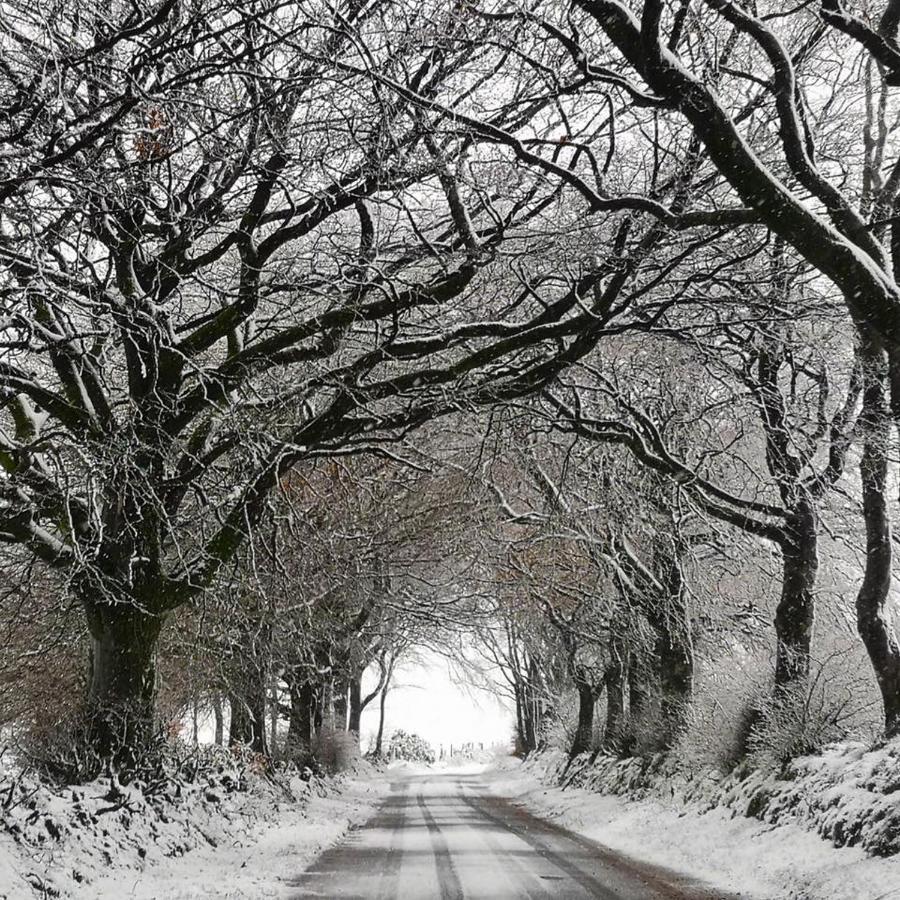 Exmoor Retreat On Two Moors Way Withypool 외부 사진
