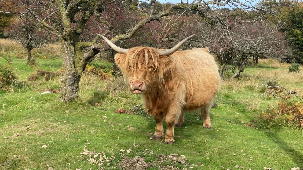 Exmoor Retreat On Two Moors Way Withypool 외부 사진