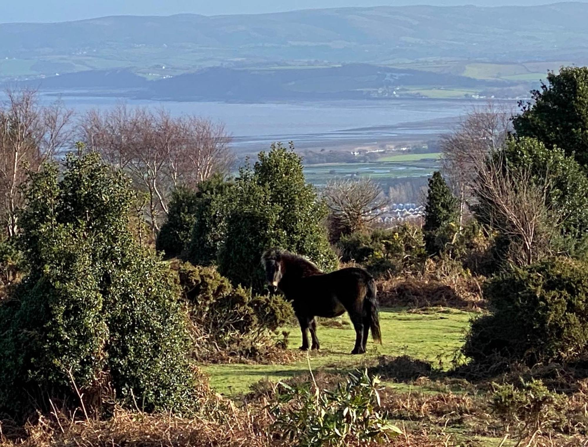 Exmoor Retreat On Two Moors Way Withypool 외부 사진