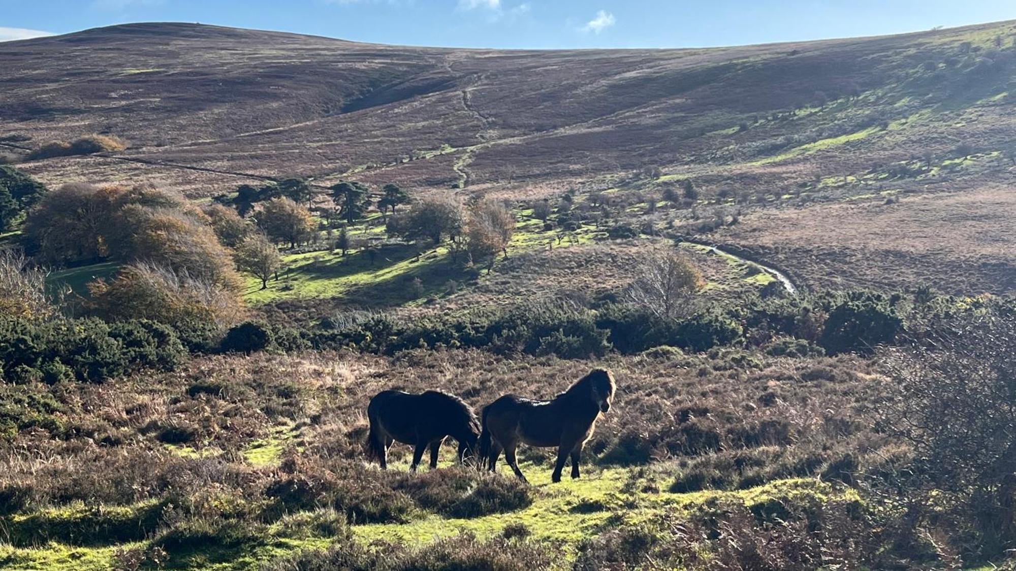 Exmoor Retreat On Two Moors Way Withypool 외부 사진